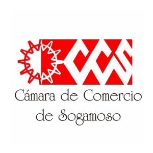 camarasogamoso.png