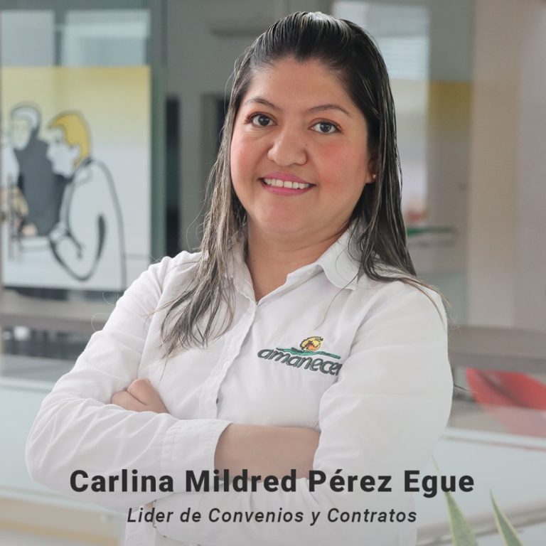 directivo-carlina-perez